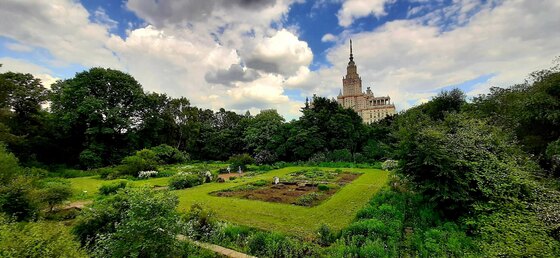 Ботсад МГУ